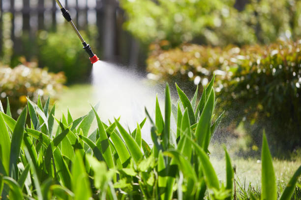 Tamper-Resistant Bait Stations for Rodents in Adrian