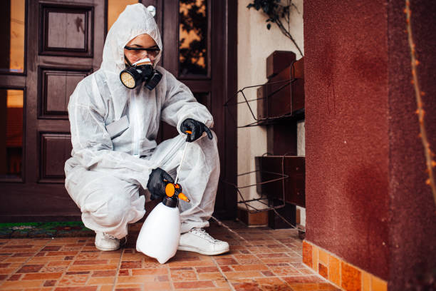 Attic and Crawl Space Rodent Treatment in Adrian