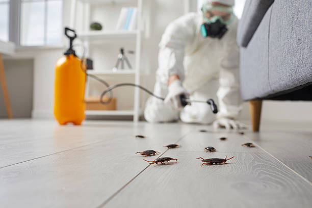 Commercial Rodent Management in Adrian